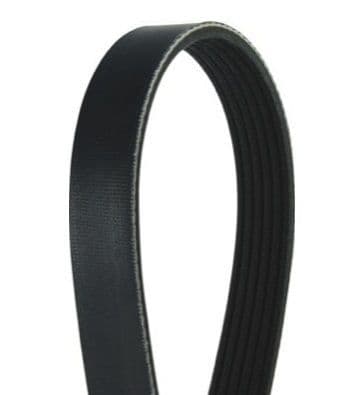 Zetec Reverse Water Pump Drive Belt